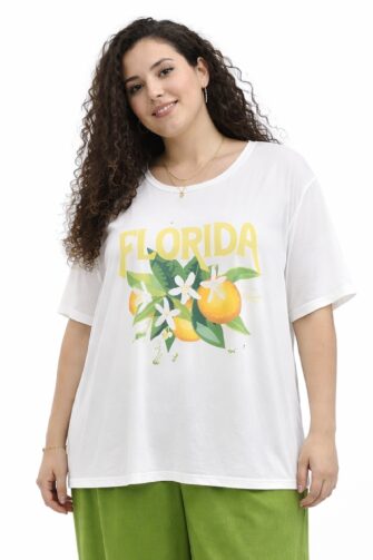 Inicio 5 Imagen del producto