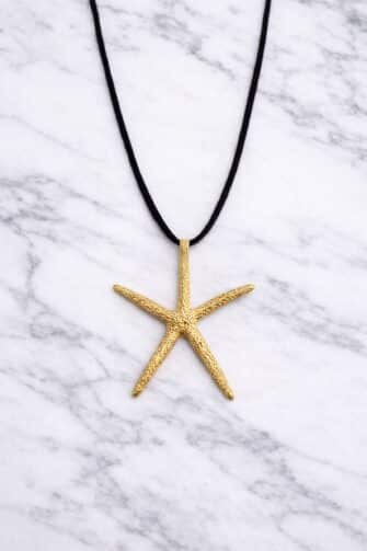 Inicio 5 Imagen del producto